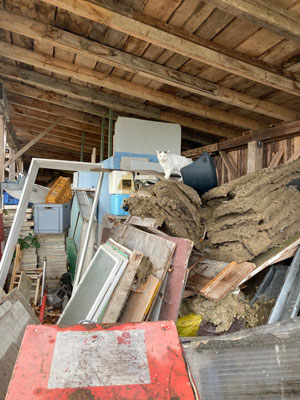 Streunerwohnung