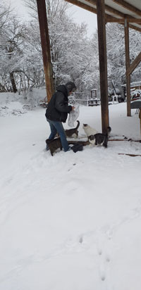 winter