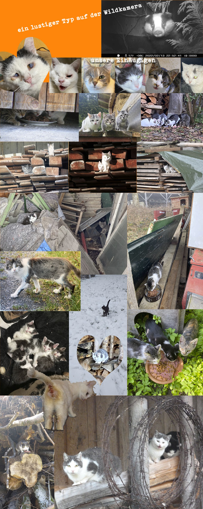 impressionen