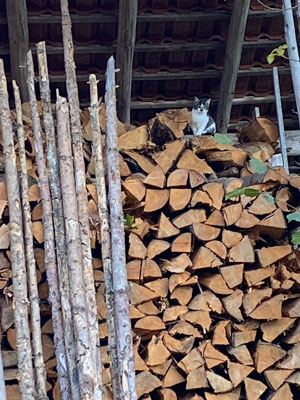 Holzstapel